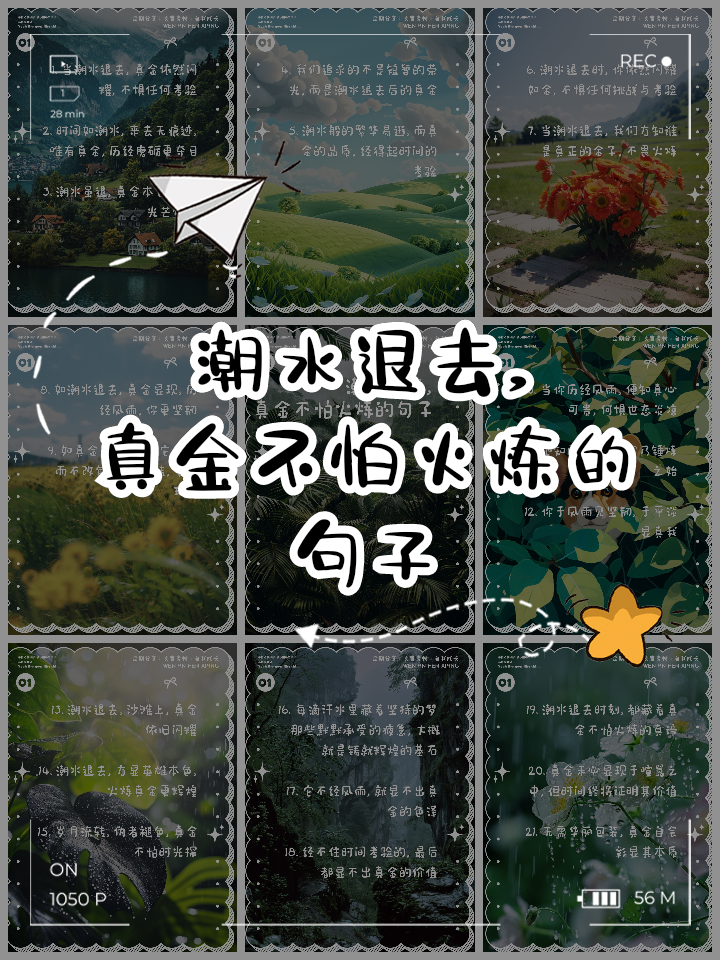 真金不怕火炼，强队胜率不减