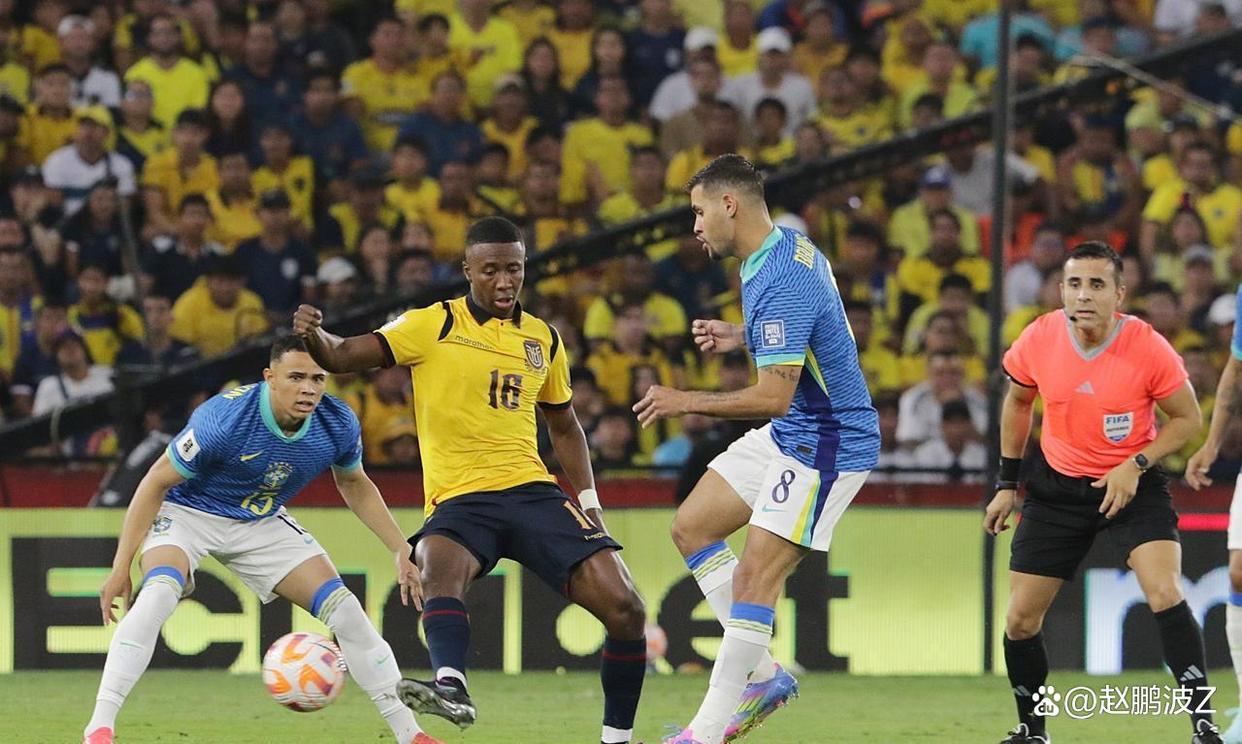 南美洲篮球锦标赛尘埃落定巴西队称霸